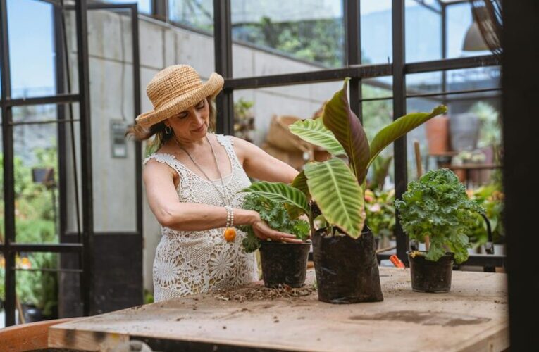 Consejos para crear un jardín sostenible en casa