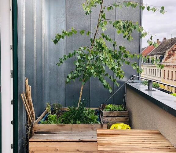 Cómo crear un huerto urbano en espacios pequeños: guía práctica